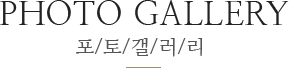 PHOTO GALLERY 포/토/갤/러/리