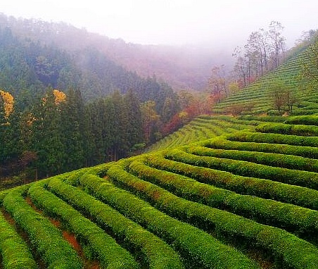 nonam.jpg